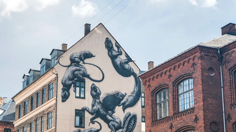 Copenhague authentique: Quartiers méconnus, expérience locale